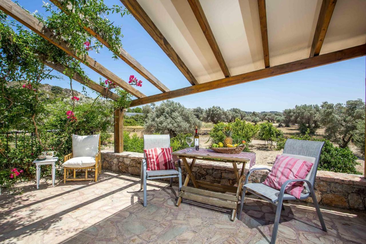 Sunny Countryside Villa - With Private Pool Faliraki Extérieur photo